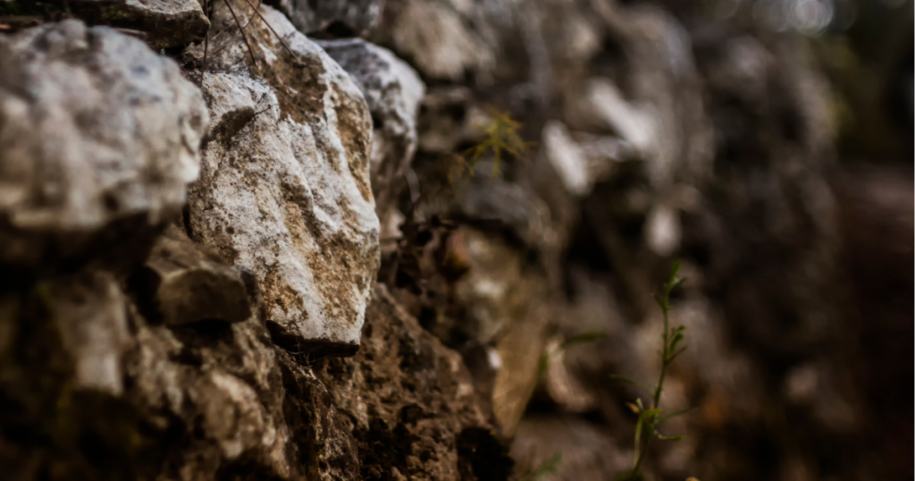 Rock climb
